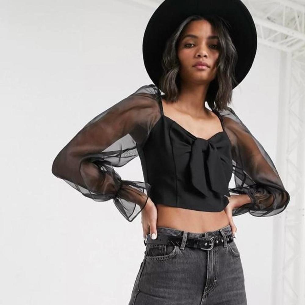 TOPSHOP Black Sheer Organza
Long Sleeve Blouse